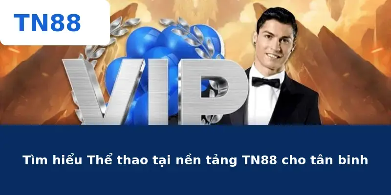 Tìm hiểu Thể thao tại nền tảng TN88 cho tân binh