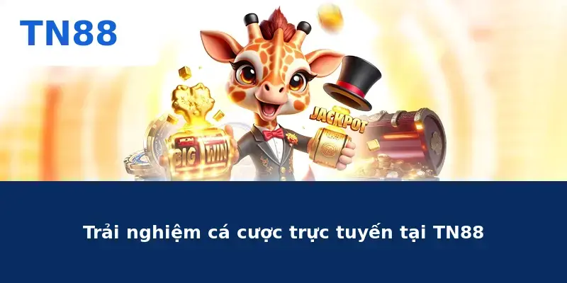 Trải nghiệm cá cược trực tuyến tại TN88