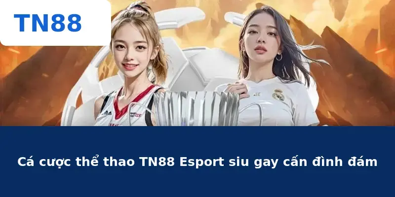 Cá cược thể thao TN88 Esport siu gay cấn đình đám