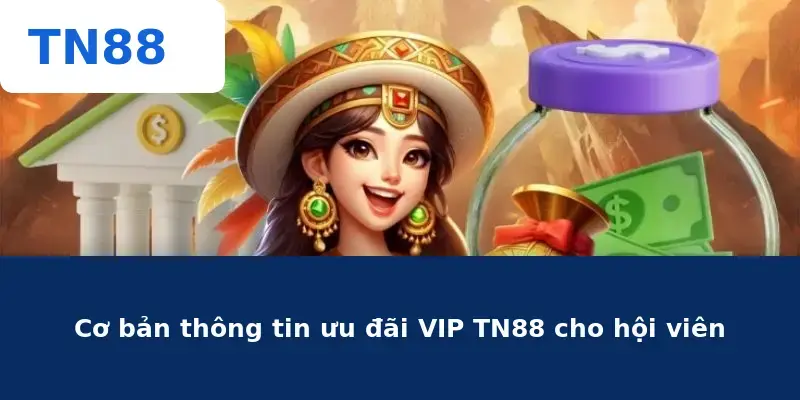 Cơ bản thông tin ưu đãi VIP TN88 cho hội viên