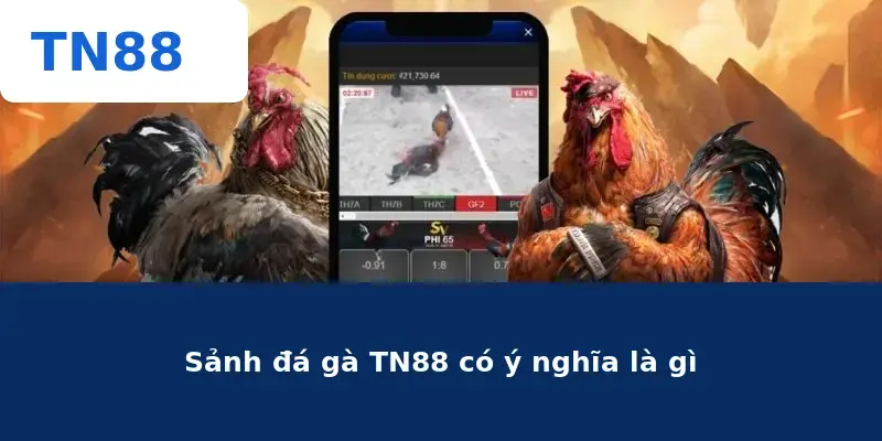 Sảnh đá gà TN88 có ý nghĩa là gì