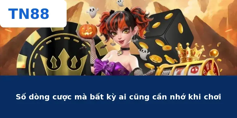 Số dòng cược mà bất kỳ ai cũng cần nhớ khi chơi