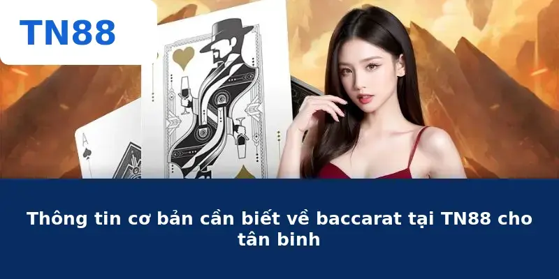 Thông tin cơ bản cần biết về baccarat tại TN88 cho tân binh