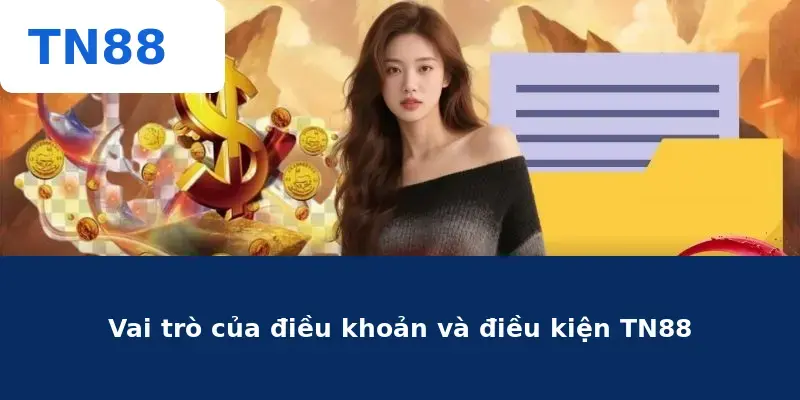 Vai trò của điều khoản và điều kiện TN88
